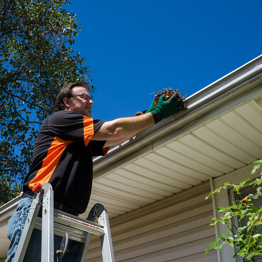 Gutter Cleaning