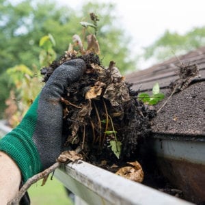 Gutter Cleaning