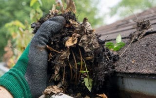 Gutter Cleaning