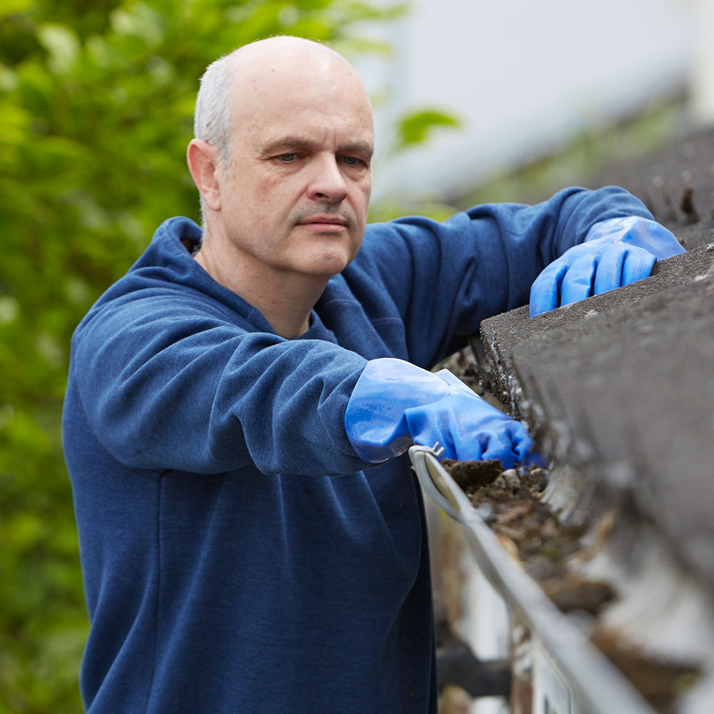 Gutter Cleaning