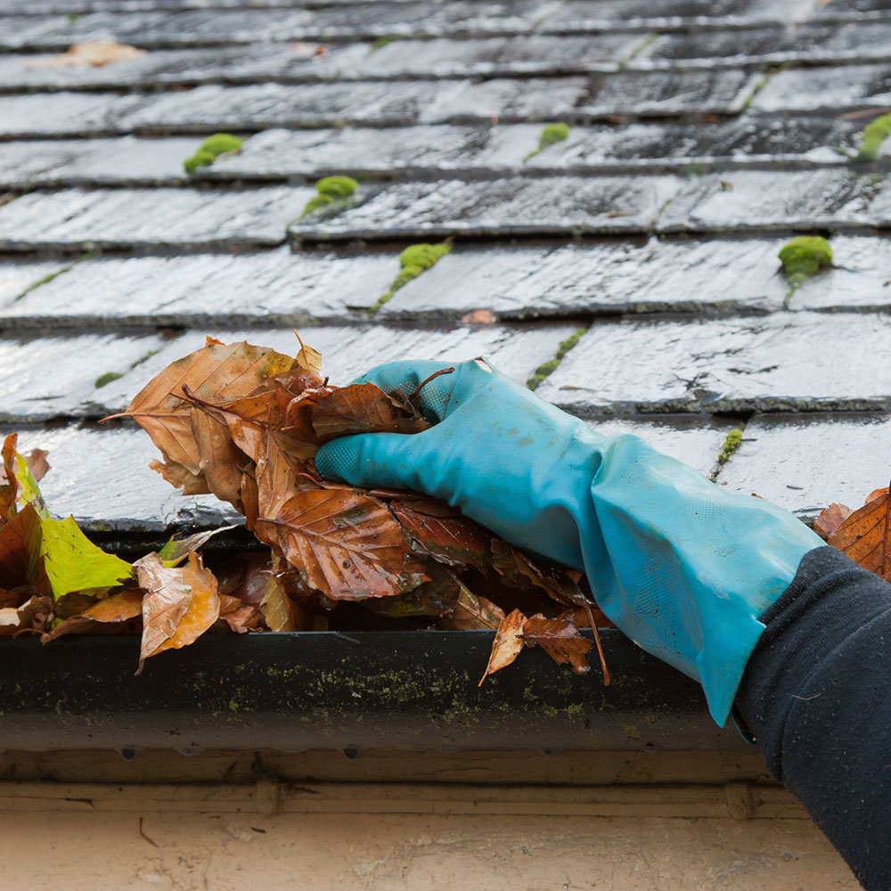 Gutter Cleaning