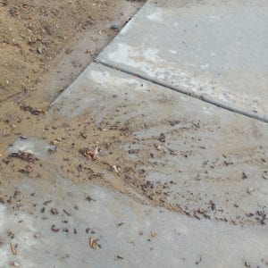 Gutter Guard Landscape Damage