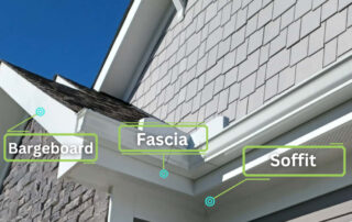 fascia diagram