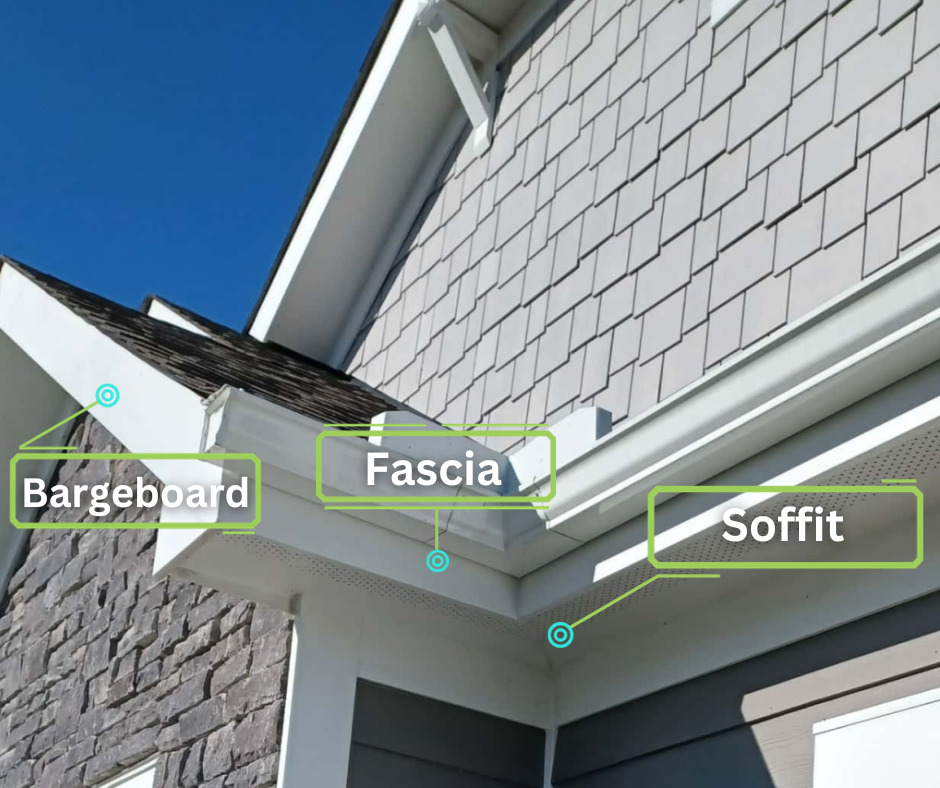 fascia diagram